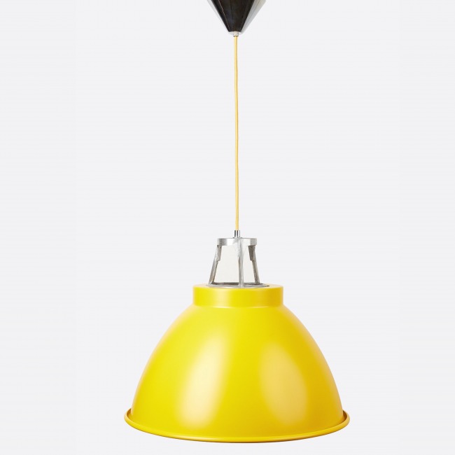 Galponera Tom amarillo.jpg